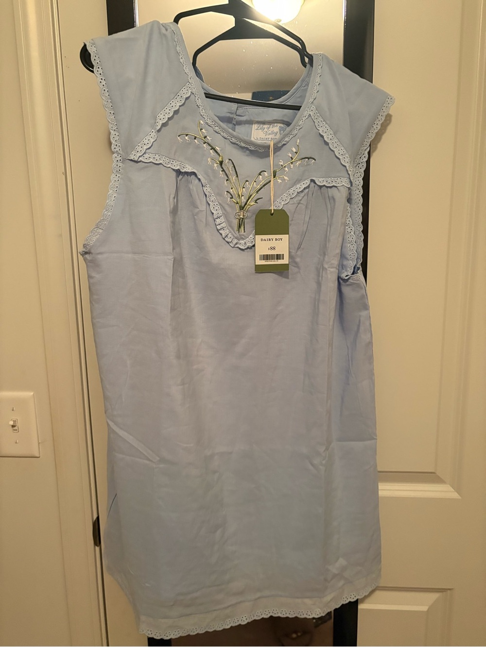 Light Blue Embroidered Mini Dress with Lace Trim